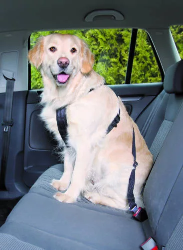 Trixie Car Harness biztonsági öv kutyák részére M 50-70cm/25mm