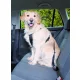 Trixie Car Harness biztonsági öv kutyák részére M 50-70cm/25mm