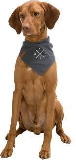 Trixie Be Nordic neckerchief - kendős nyakörv (sötétszürke, mintával)