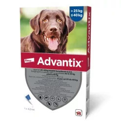 advantix 25kg-40kg közötti kutyáknak bolhaírtócsepp