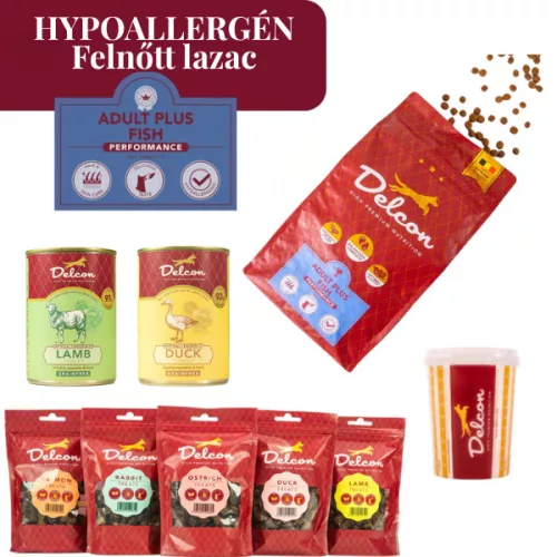 Delcon Hypoallergén Lazac kutyatáp csomag jutalomfalat válogatással