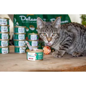 Nedves eledelek, konzervek macskáknak