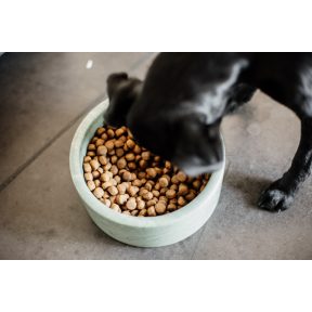 Prémium száraz kutyatápok